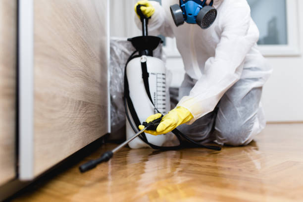 Best Cockroach Control Services  in Hden Springs, ID