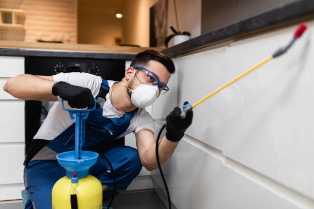Best Emergency Pest Control  in Hden Springs, ID