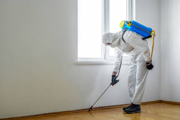 Best Pest Prevention Services  in Hden Springs, ID