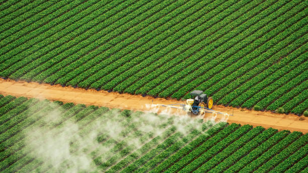 Reliable Hidden Springs, ID Pest Control Solutions