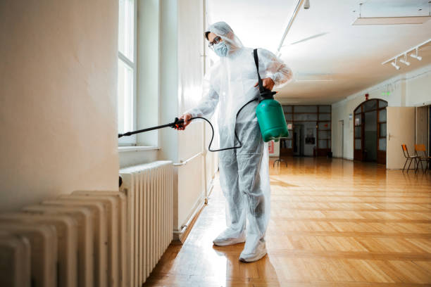 Best Wasp Removal Services  in Hden Springs, ID