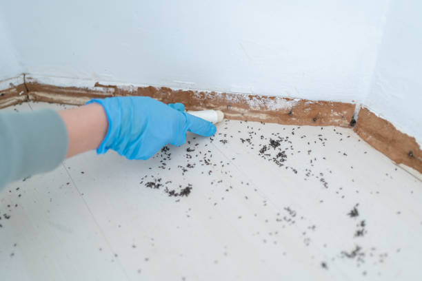 Best Commercial Pest Control Services  in Hden Springs, ID